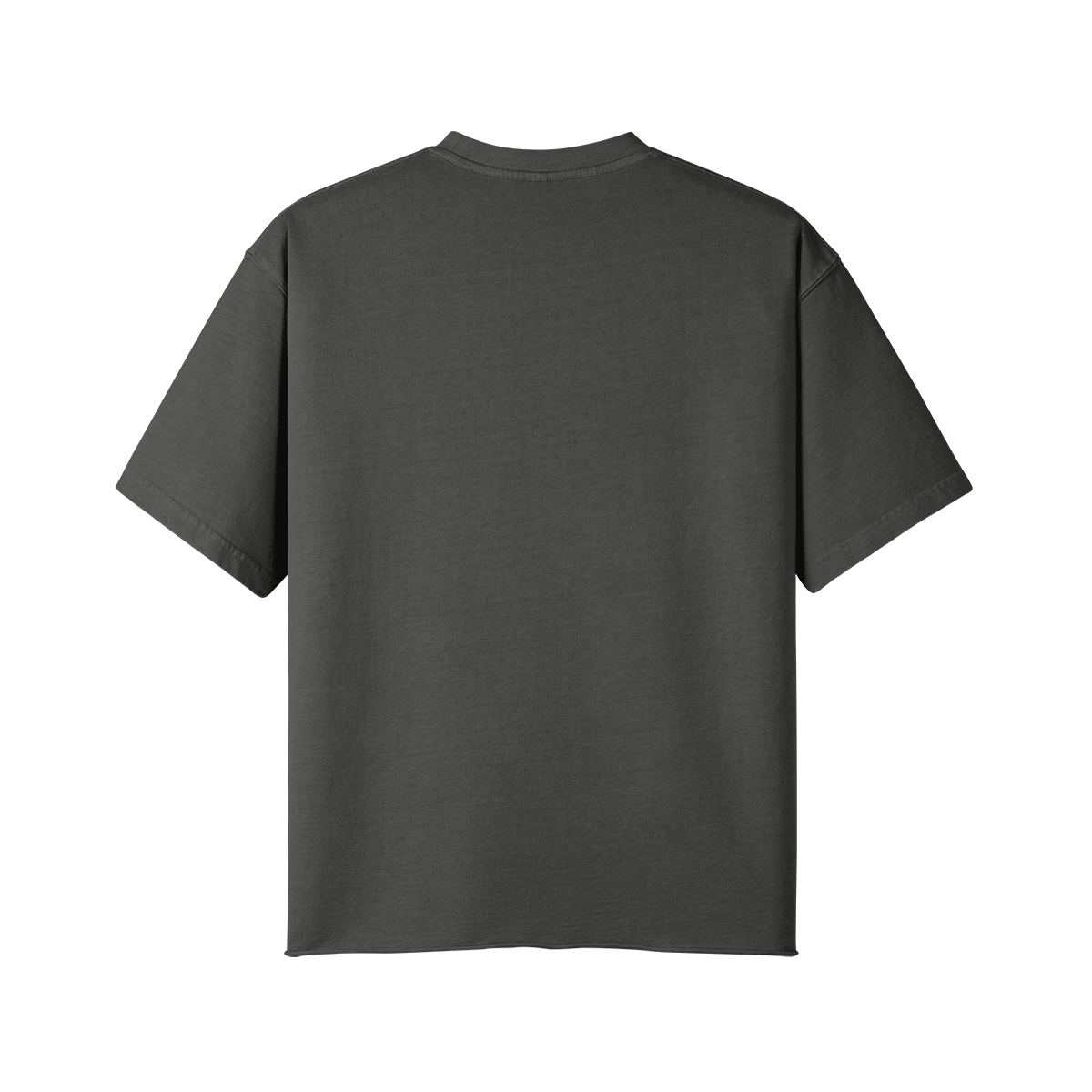 Basic 383 Oversized T-Shirt